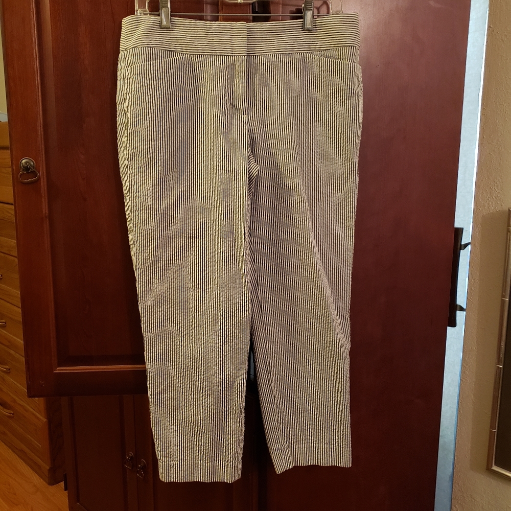 LOFT Seersucker Pants